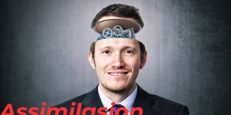 Assimilasjon