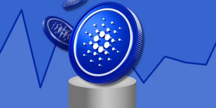 Cardano Rises