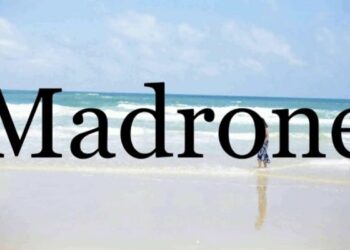 Madrone in Lushootseed Pronunciation Audio