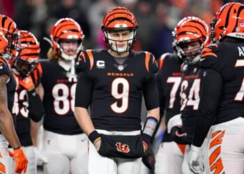 Bengals vs Tennessee Titans Match Player Stats