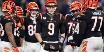 Bengals vs Tennessee Titans Match Player Stats