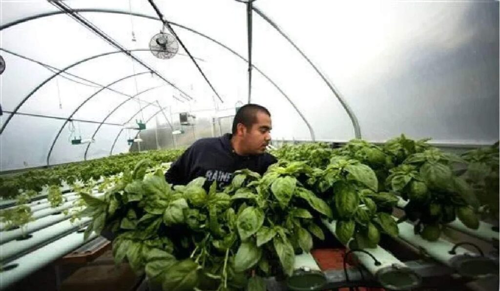 MyGreenBucks Kenneth Jones