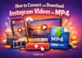 How to Convert and Download Instagram Videos to MP4