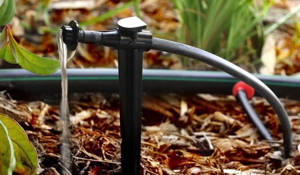 rain bird drip irrigation