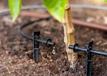 rain bird drip irrigation