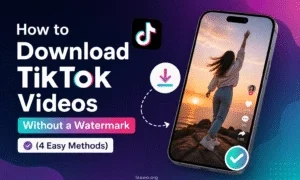 Download TikTok