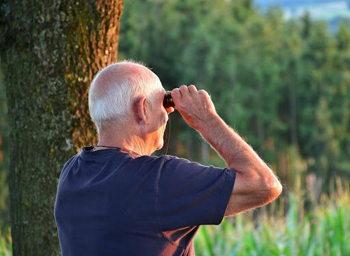 Mortality Verification: Understanding the Process and Purpose