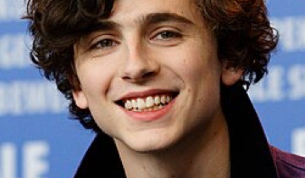 Timothée Chalamet