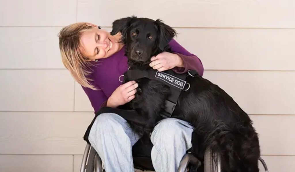 service dog cost