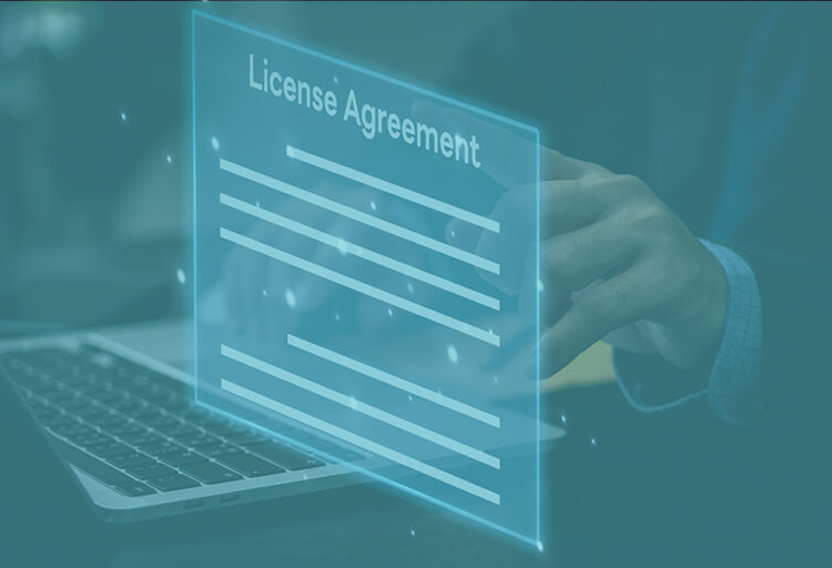 Software Licensing